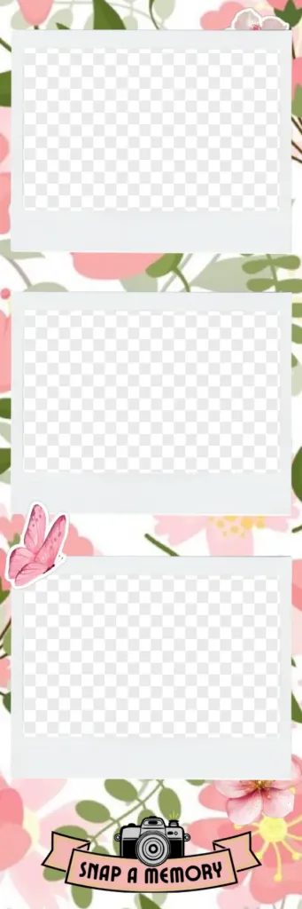 Petal Moments